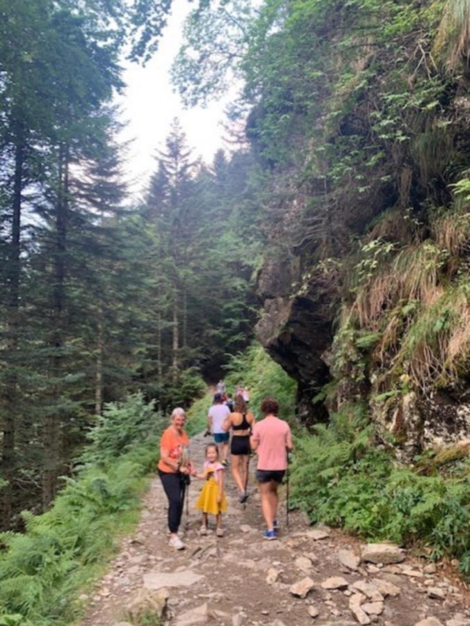 Appartement Tres Agreable Dans Belle Residence, Classe 3 Etoiles Par Le Comite Departementale Du Tourisme En Haute Garonne Bagnères-de-Luchon 외부 사진